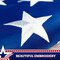 G128 2-Pack: American USA Pull Down Bunting Flag | 1.67x8 Ft | Embroidered Polyester